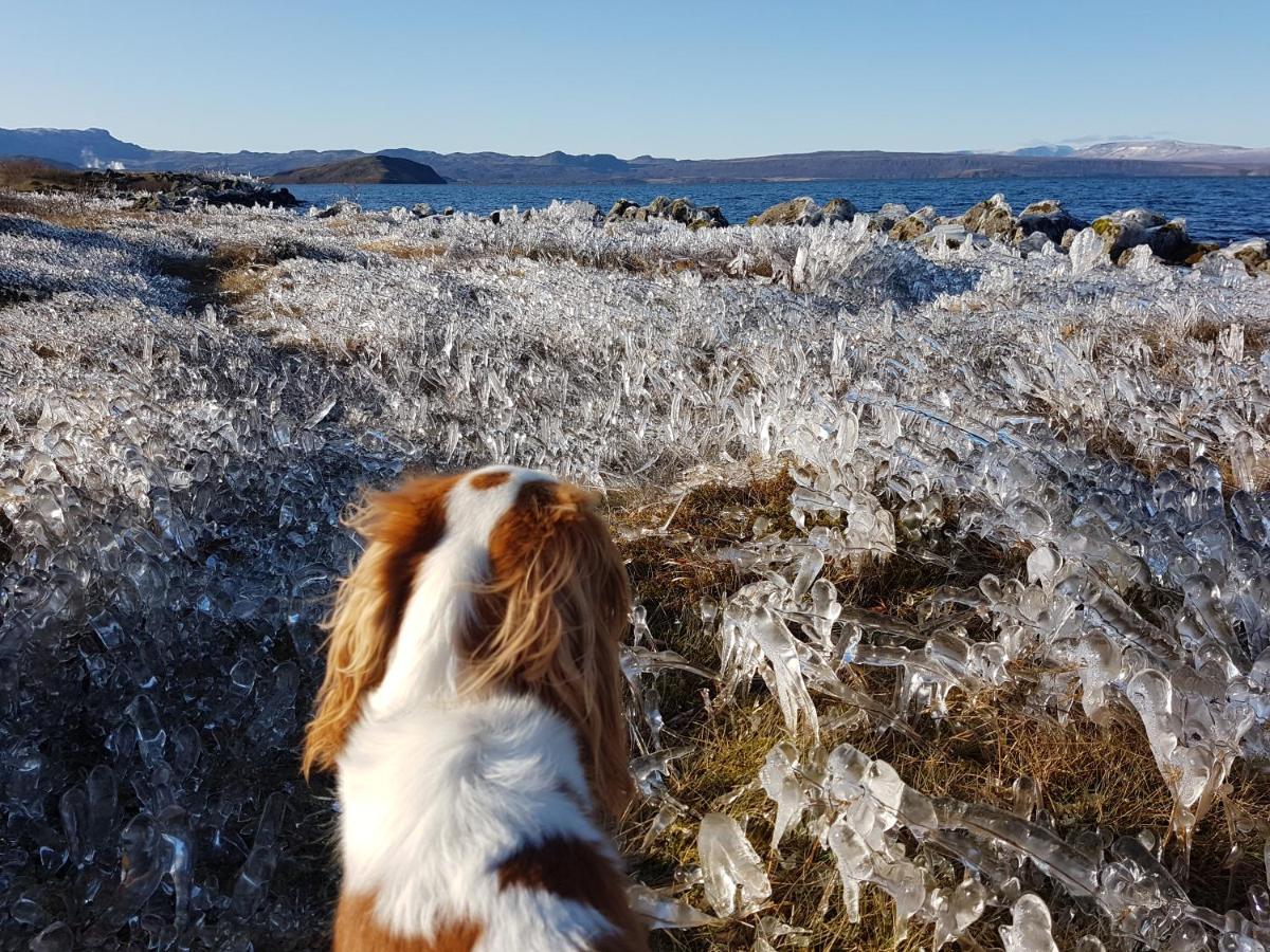 Thingvellir Lake Cottage Veithilundur Kültér fotó